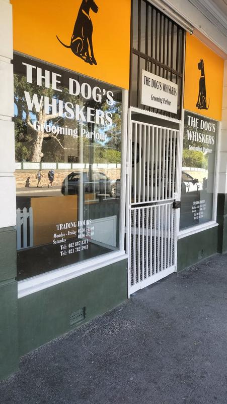 To Let commercial Property for Rent in Simons Town Western Cape